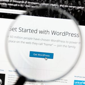 onehundred.digital WordPress 1