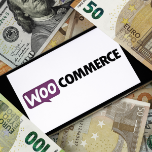 onehundred.digital Die Folgen eines Cyberangriffes auf ihren WooCommerce Shop 2