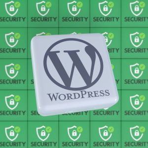 Was sind die 10 größten Gefahren, denen eine WordPress-Website ausgesetzt sein kann? | onehundred.digital
