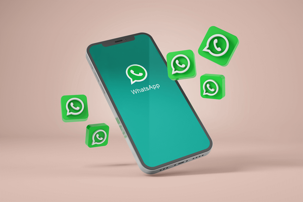 onehundred.digital WhatsApp Marketing